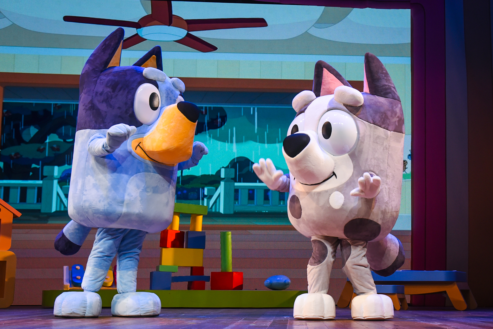 Bluey – Ao Vivo – Diversão em Família!” pela primeira vez em Vitória